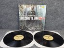 Damian Marley – Welcome To Jamrock 2xLP Vinyl Record Tuff Gong 2005 VG+
