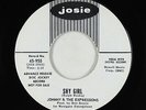 Northern/Sweet Soul 45 - Johnny & Expressions - Shy Girl - Josie - VG++