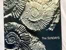 The Sundays - Reading Writing & Arithmetic LP NM/NM Rough Trade ‘90 Rough 148
