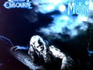 Ozzy Osbourne - Bark At The Moon LP (VG+/VG+) '*
