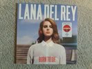 Vinyl 12