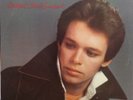 John Cougar Mellencamp - Chestnut Street Incident (LP, Album)