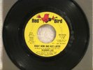THE SHANGRI-LAS ORIGINAL 1966 45 RPM SINGLE RIGHT NOW AND NOT LATER 10-036 EX