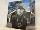 Swervedriver - Mezcal Head RARE 1993 UK 1st Press NM/NM