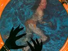 The Cramps Record 'Creature From The Black Leather Lagoon' Picture Disc. 1990