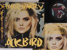 LP DEBBIE HARRY Rockbird WWS91210PROMO CHRYSALIS JAPAN Vinyl OBI PROMO