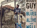 Buddy Guy |  2xVinyl LP | The Blues is Alive and Well |