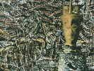 Siouxsie and the Banshees | Black Vinyl LP | Juju | Polydor
