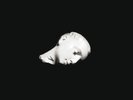Sofa | Black 2xVinyl LP | Source Crossfire | Constellation