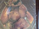 Metallica - Live Phantom Lord Picture Disc
