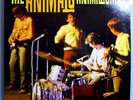THE ANIMALS w/FRANK ZAPPA ANIMALISM RARE ORIGINAL 1966 MGM MONO LP BEAUTIFUL