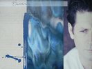 Brian Wilson - Brian Wilson (LP, Album, RE, RM + LP + Dlx, Ltd, Blu) (Mint (M))