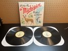 Sufjan Stevens - Greetings From Michigan: The Great Lake State 2 x Vinyl, LP, VG