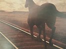 Bruce Cockburn ‎– Night Vision (Vinyl Record, True North TN-11) VG+/ Sleeve VG