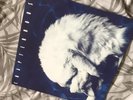CHAPTERHOUSE-  Whirlpool -  Original 1991 Uk - 1st PRESSING - EXCELLENT