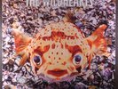 The Wildhearts ‎– Fishing For Luckies GATEFOLD 2LP UK *ROUND* ORIG. 1996 EX+