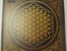 Bring Me The Horizon Sempiternal Vinyl, CG L53