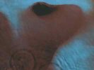 Pink Floyd Meddle TEXTURED GATEFOLD Harvest Vinyl LP