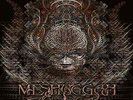 Meshuggah | Red Vinyl LP | Koloss | Atomic Fire