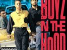 Various Artists Boys N the Hood (Vinyl) 12