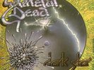 Grateful Dead Dark Star 7