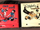 Vintage 1950’s Ponytail Bobby Sox Melody Tote Deb u Teen Tote w/ 45 RPM Records