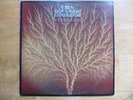 Van Der Graaf Generator  Still Life UK 1976 Charisma CAS 1116 A1 ARUN/B1 VG+