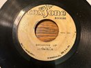 Alton Ellis - Breaking Up  VG