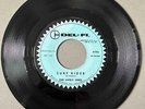 The Lively Ones - Surf Rider/Surfer's Lament * Del-Fi 4196 Surf Rock 45 Hear