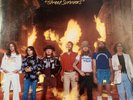 Lynyrd Skynyrd Street Survivors 1977 VG+ Southern Rock LP MCA