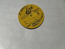 Sublime Second Hand Smoke Pic Disc Test Press ex condition Skunk Records Rare 77