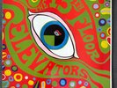 13th floor elevators: The psychedelic sounds of LP RE Psych VG+ Mono