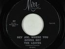 Garage 45 - Leaves - Hey Joe - Mira - 1st (whistle) version