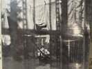 Paul McCartney - Chaos and Creation In The Backyard  LP (Sealed)