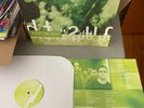Minus The Bear This Is What I Know About Being Gigantic 180gram Black vinyl Lp