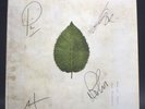 HAND SIGNED PRINT The Boxer Rebellion Colored Vinyl Album Set 4 Albums SEALED