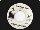 GARAGE PUNK 45 -CHOCOLATE WATCH BAND - SWEET YOUNG THING -HEAR - 1967 DJ UPTOWN