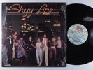 SKYY Skyyline SALSOUL LP VG+/VG++ SHRINK j