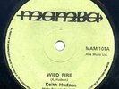 KEITH HUDSON - WILD FIRE / VERSION.  1975 UK REGGAE 7