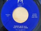JACK AND HIS JESTERS - Where have all the flowers / CALYPSO DOO WOP 45 BAHAMAS