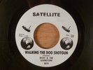 Ricky & The Lexingtons  Walking The Dog Shotgun/Have A Heart RARE  Soul, Garage
