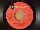 The Riddles  Sweets For My Sweet/It's One Thing To Say  Garage 1967 Mercury