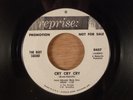 The Riot Squad  Cry Cry Cry/How It Is Done  Promo  Mod, Beat  1966 Reprise