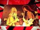 VAN HALEN POSTER DAVID LEE ROTH EVH 1979 SCOTLAND II 1984 1 RARE BALANCE NEW