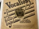 Bumble Bee Slim PRE WAR 78 Dumb Trick Blues/When I Get My Money VOCALION M- HEAR