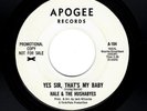 ROCK & ROLL-HALE & THE HUSHABYES-YES SIR, THAT'S MY BABY/900 QUETZALS-APOGEE 104