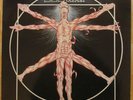 Leeway-Born to expire-Vinyle 33t