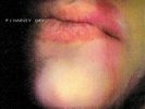 PJ Harvey Dry Vinyl LP Dry 2020 Reissue [New & Sealed]