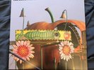 BEVIS FROND THE LEAVING OF LONDON 2LPs PSYCHEDELIC ROCK