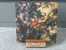 PINK FLOYD - Obscured By Clouds - UK 1st LP (1972) W/EMI Paper Inner A-2/B-2 EX